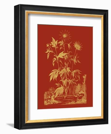 Paprika Bouquet IV-Vision Studio-Framed Art Print