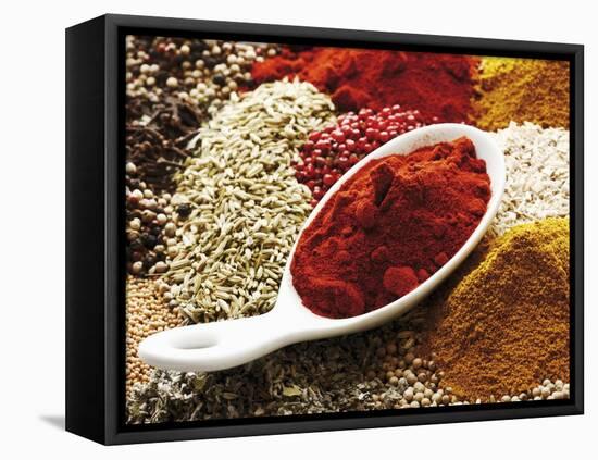 Paprika Powder in Porcelain Spoon on Assorted Spices-Dieter Heinemann-Framed Premier Image Canvas