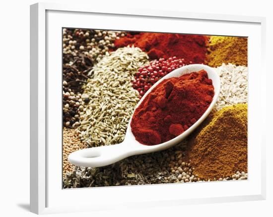 Paprika Powder in Porcelain Spoon on Assorted Spices-Dieter Heinemann-Framed Photographic Print