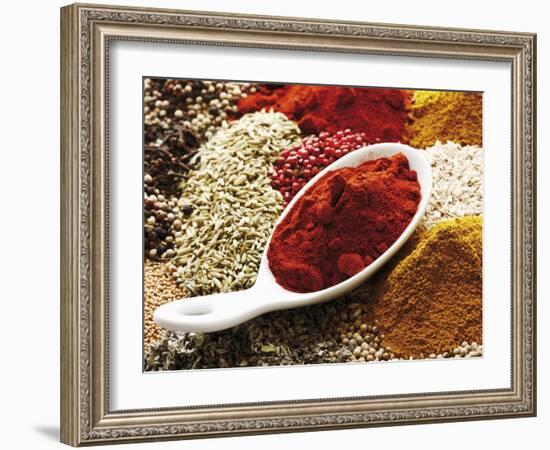 Paprika Powder in Porcelain Spoon on Assorted Spices-Dieter Heinemann-Framed Photographic Print