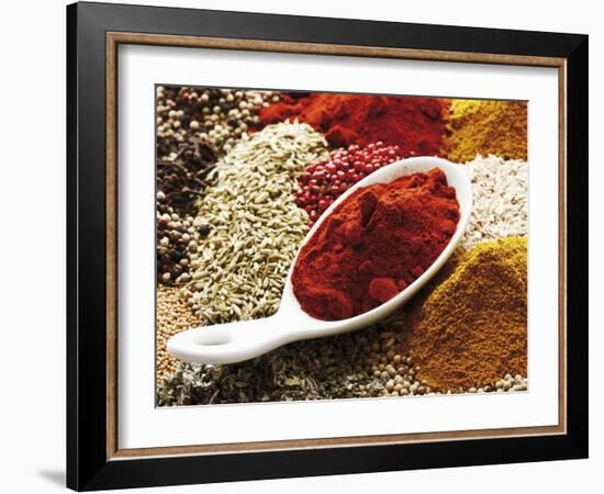 Paprika Powder in Porcelain Spoon on Assorted Spices-Dieter Heinemann-Framed Photographic Print