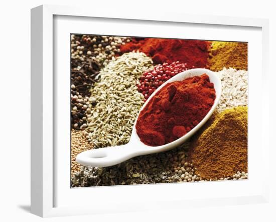 Paprika Powder in Porcelain Spoon on Assorted Spices-Dieter Heinemann-Framed Photographic Print