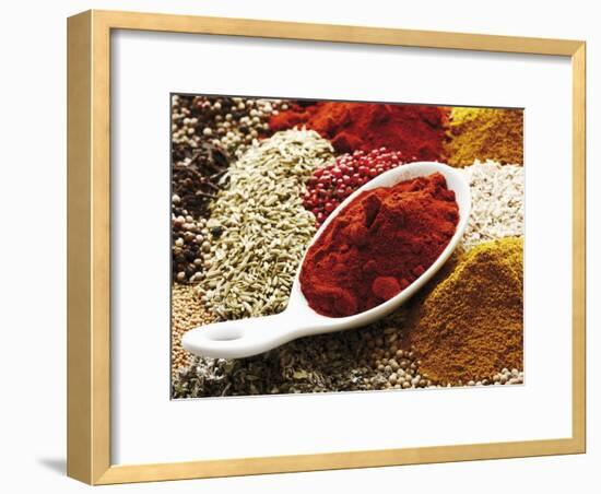 Paprika Powder in Porcelain Spoon on Assorted Spices-Dieter Heinemann-Framed Photographic Print