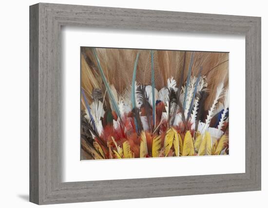 Papua New Guinea, Tufi. Detail of Feather Ceremonial Headdress-Cindy Miller Hopkins-Framed Photographic Print