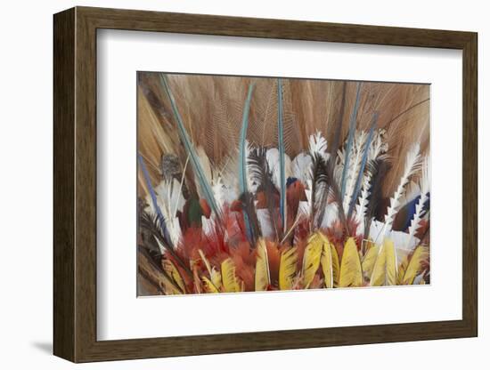 Papua New Guinea, Tufi. Detail of Feather Ceremonial Headdress-Cindy Miller Hopkins-Framed Photographic Print