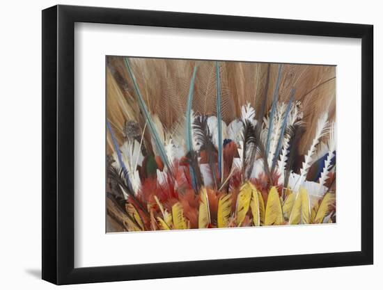 Papua New Guinea, Tufi. Detail of Feather Ceremonial Headdress-Cindy Miller Hopkins-Framed Photographic Print