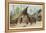 Papua New Guinea: Village Scene in the North-East of the Island-Wilhelm Kuhnert-Framed Stretched Canvas