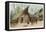 Papua New Guinea: Village Scene in the North-East of the Island-Wilhelm Kuhnert-Framed Stretched Canvas