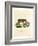 Papuan Wild Boar-null-Framed Giclee Print