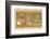 Papyrus of Ani the Dead Ani Judged Innocent is Presented by Horus to Osiris-E.a. Wallis Budge-Framed Photographic Print