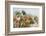 Papyrus (Papyrus sp), Okavango Delta, Botswana, Africa-Sergio Pitamitz-Framed Photographic Print