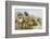 Papyrus (Papyrus sp), Okavango Delta, Botswana, Africa-Sergio Pitamitz-Framed Photographic Print