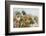 Papyrus (Papyrus sp), Okavango Delta, Botswana, Africa-Sergio Pitamitz-Framed Photographic Print