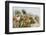 Papyrus (Papyrus sp), Okavango Delta, Botswana, Africa-Sergio Pitamitz-Framed Photographic Print