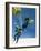 Parachutes and Ejector Seats-Wilf Hardy-Framed Giclee Print
