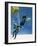 Parachutes and Ejector Seats-Wilf Hardy-Framed Giclee Print