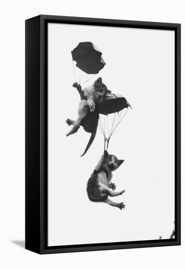 Parachuting Kittens-null-Framed Premier Image Canvas