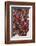 Parade at Dinagyang Festival, City of Iloilo, Philippines-Keren Su-Framed Photographic Print