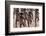 Parade at Dinagyang Festival, City of Iloilo, Philippines-Keren Su-Framed Photographic Print