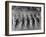 Parade Celebrating Ghana's Independence-Mark Kauffman-Framed Photographic Print