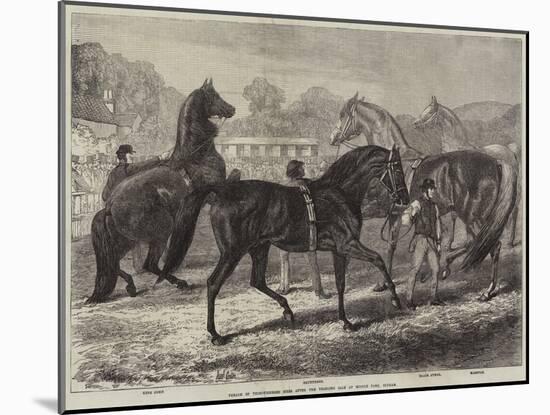 Parade of Thoroughbred Sires after the Yearling Sale at Middle Park, Eltham-Samuel John Carter-Mounted Giclee Print