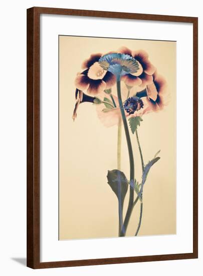 Paradigm-Katja Marzahn-Framed Art Print