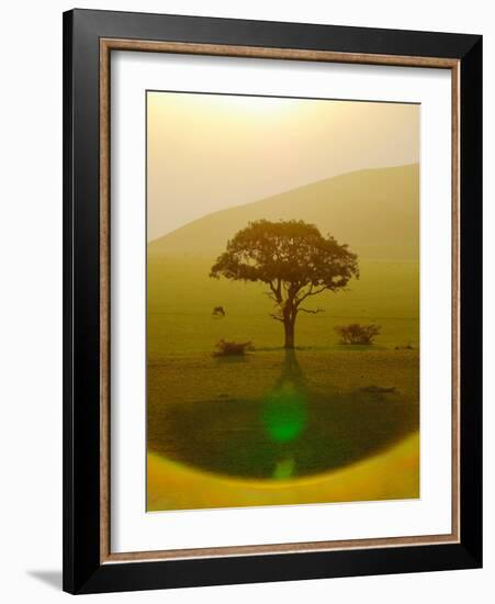 Paradise after the rain, Chyulu Hills, 2018-Eric Meyer-Framed Photographic Print