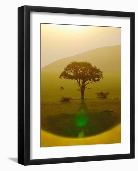 Paradise after the rain, Chyulu Hills, 2018-Eric Meyer-Framed Photographic Print