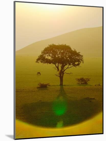 Paradise after the rain, Chyulu Hills, 2018-Eric Meyer-Mounted Photographic Print