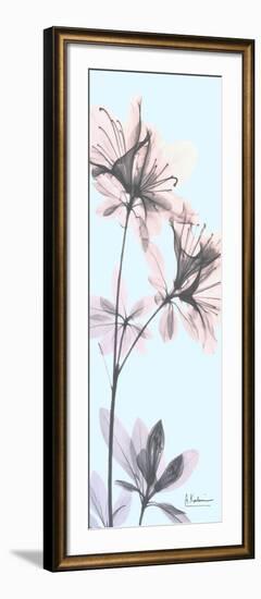 Paradise Azalea-Albert Koetsier-Framed Photo