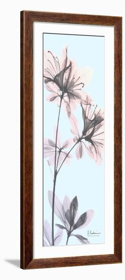 Paradise Azalea-Albert Koetsier-Framed Photo