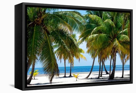 Paradise Beach - Florida - USA-Philippe Hugonnard-Framed Premier Image Canvas