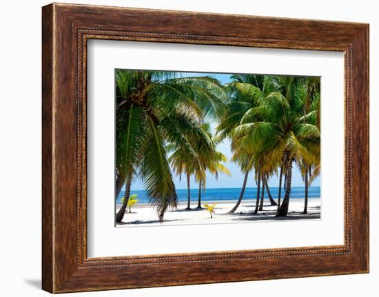 Paradise Beach - Florida - USA-Philippe Hugonnard-Framed Photographic Print