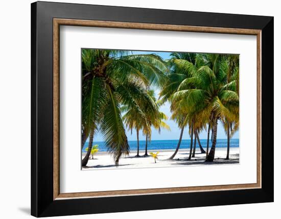 Paradise Beach - Florida - USA-Philippe Hugonnard-Framed Photographic Print