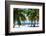 Paradise Beach - Florida - USA-Philippe Hugonnard-Framed Photographic Print