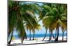 Paradise Beach - Florida - USA-Philippe Hugonnard-Mounted Photographic Print