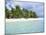 Paradise Beach, One Foot Island, Aitutaki, Cook Islands, South Pacific Islands-D H Webster-Mounted Photographic Print