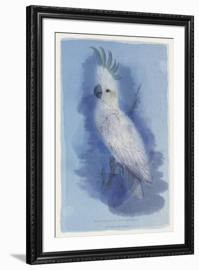 Paradise Blue II-Maria Mendez-Framed Giclee Print