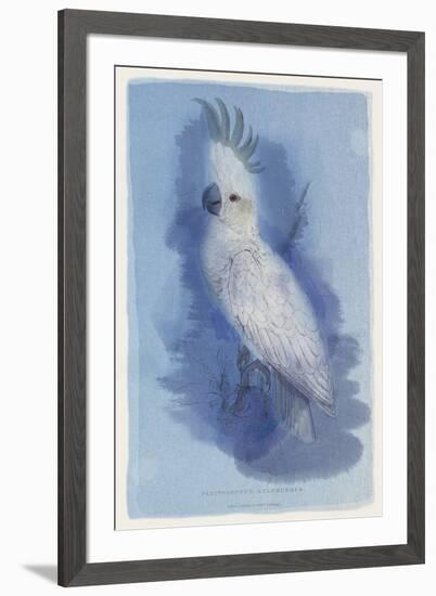 Paradise Blue II-Maria Mendez-Framed Giclee Print