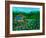 Paradise Cove-Bonnie B. Cook-Framed Giclee Print