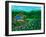 Paradise Cove-Bonnie B. Cook-Framed Giclee Print