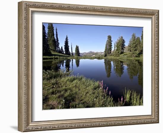 Paradise Divide, Grand Mesa-Uncompahgre-Gunnison National Forest, Colorado-James Hager-Framed Photographic Print
