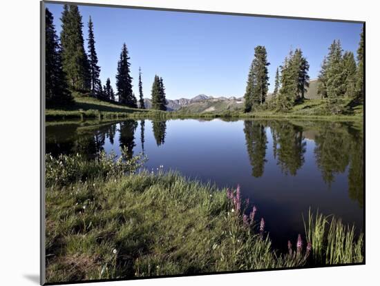 Paradise Divide, Grand Mesa-Uncompahgre-Gunnison National Forest, Colorado-James Hager-Mounted Photographic Print