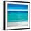 Paradise II-Jennifer Bailey-Framed Giclee Print