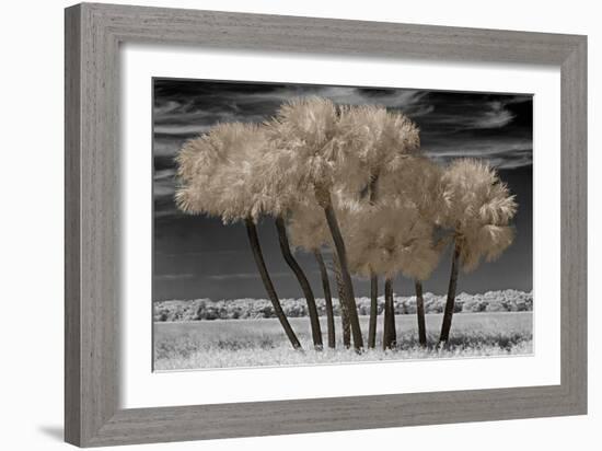 Paradise Island-Mike Jones-Framed Art Print