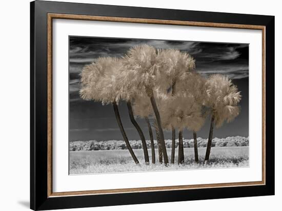 Paradise Island-Mike Jones-Framed Art Print