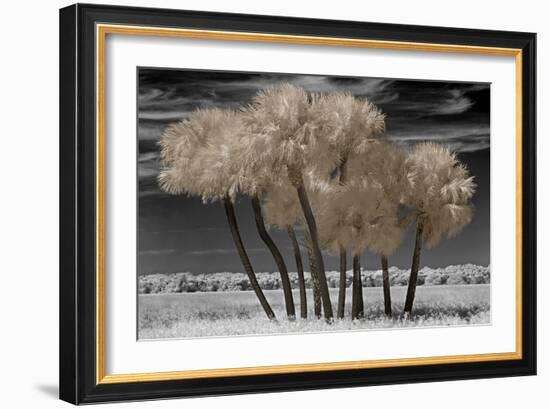 Paradise Island-Mike Jones-Framed Art Print