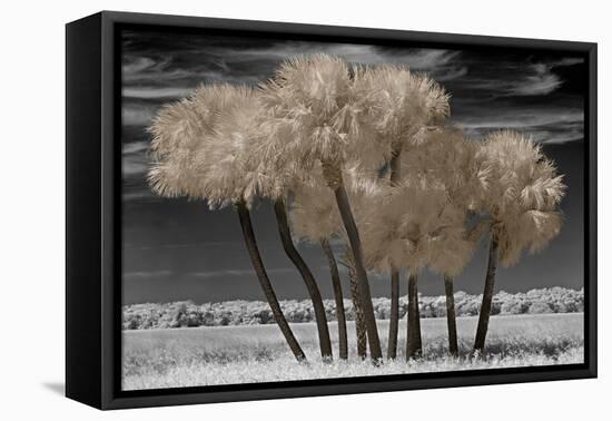 Paradise Island-Mike Jones-Framed Stretched Canvas