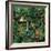 Paradise Jungle-Betty Lou-Framed Giclee Print