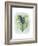 Paradise Palm Leaves I-Grace Popp-Framed Premium Giclee Print